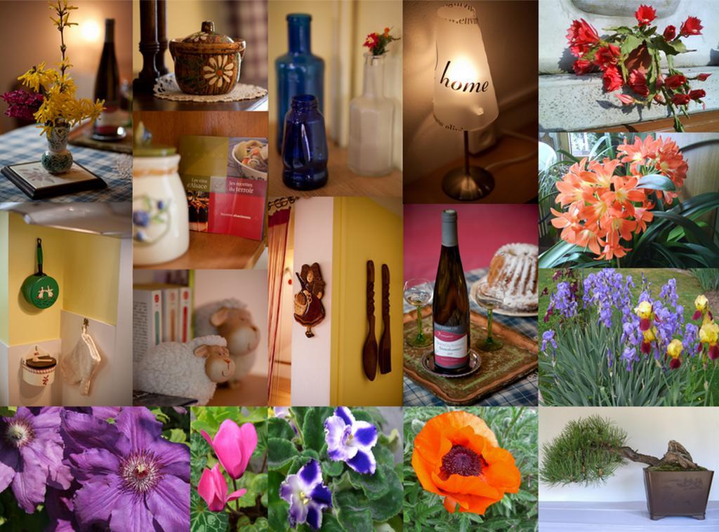 Studio Rouffach Chambre photo