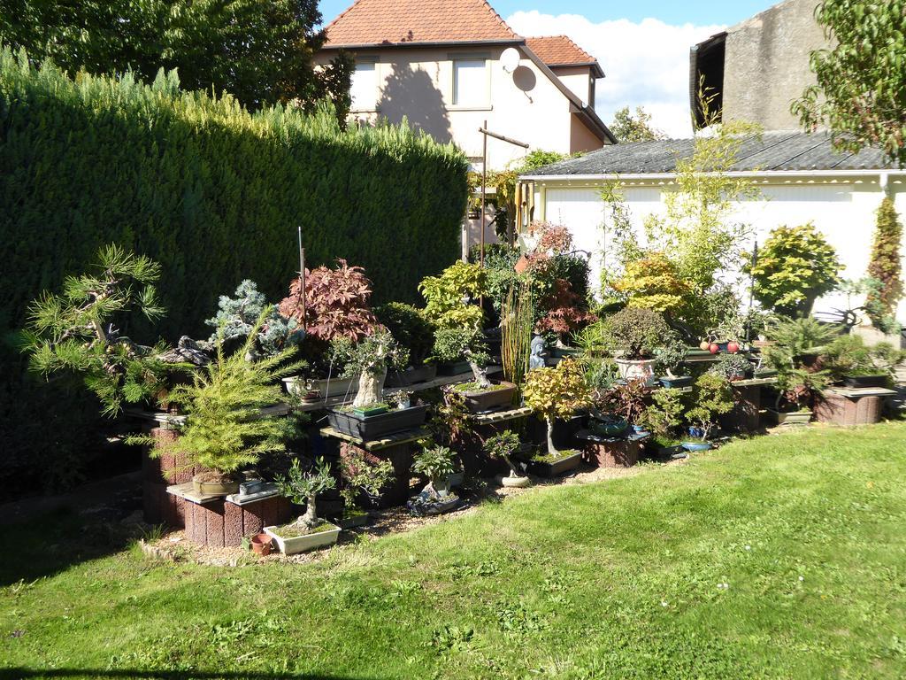Studio Rouffach Extérieur photo